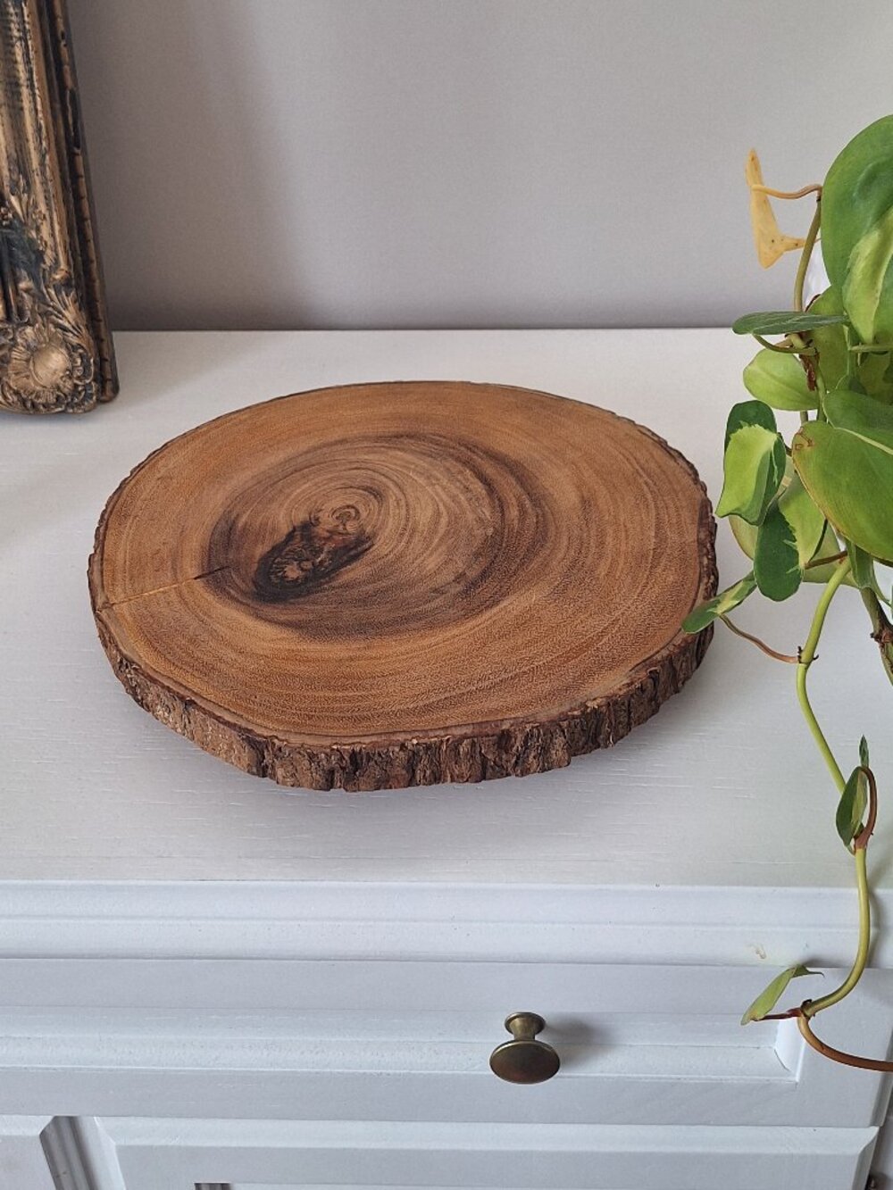 Large footed wood round log slice wooden riser crate & barrel wood server